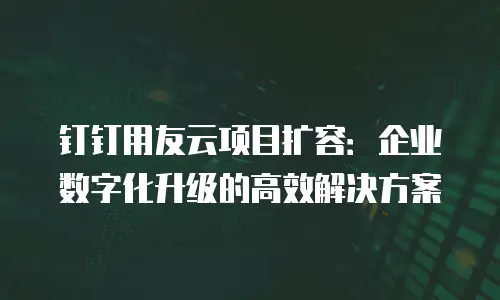 钉钉用友云项目扩容：企业数字化升级的高效解决方案
