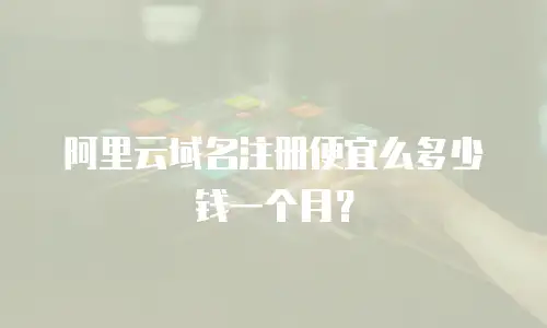 阿里云域名注册便宜么多少钱一个月？