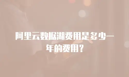 阿里云数据湖费用是多少一年的费用？