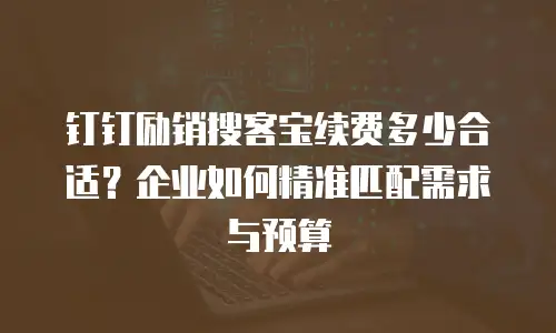 钉钉励销搜客宝续费多少合适？企业如何精准匹配需求与预算