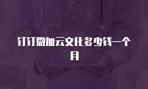 钉钉微加云文化多少钱一个月