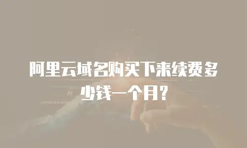 阿里云域名购买下来续费多少钱一个月？