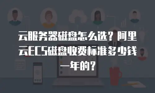 云服务器磁盘怎么选？阿里云ECS磁盘收费标准多少钱一年的？