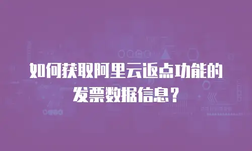 如何获取阿里云返点功能的发票数据信息？