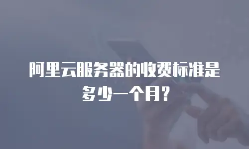 阿里云服务器的收费标准是多少一个月？
