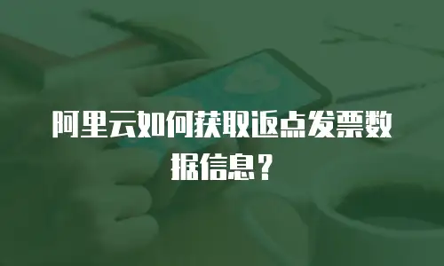 阿里云如何获取返点发票数据信息？
