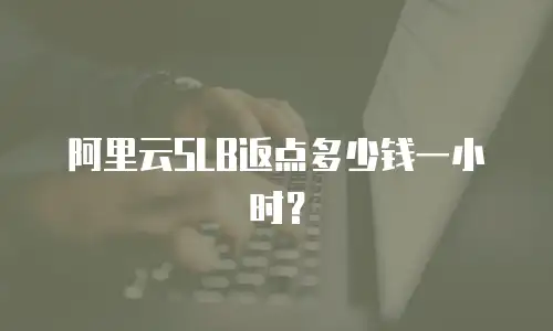阿里云SLB返点多少钱一小时？