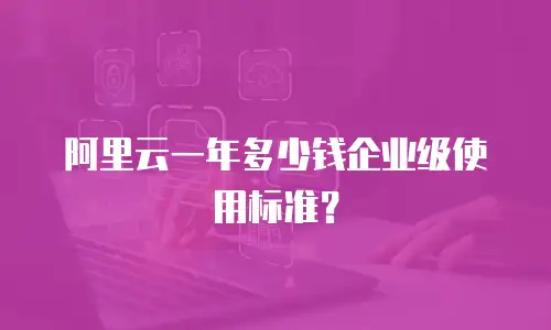 阿里云一年多少钱企业级使用标准？