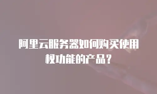 阿里云服务器如何购买使用权功能的产品？