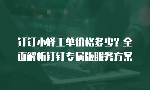 钉钉小蜂工单价格多少？全面解析钉钉专属版服务方案