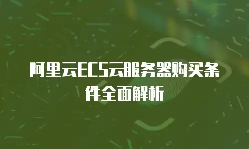阿里云ECS云服务器购买条件全面解析
