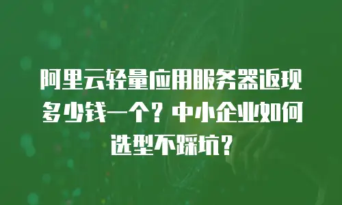 阿里云轻量应用服务器返现多少钱一个？中小企业如何选型不踩坑？