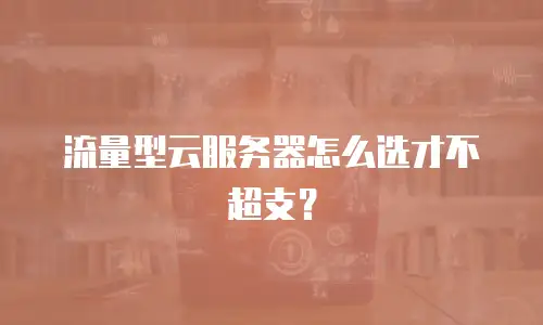 流量型云服务器怎么选才不超支？