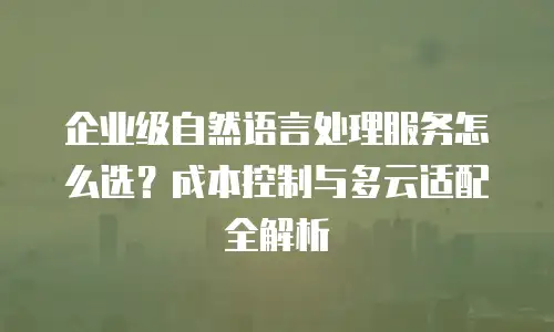 企业级自然语言处理服务怎么选？成本控制与多云适配全解析