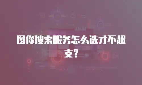 图像搜索服务怎么选才不超支？