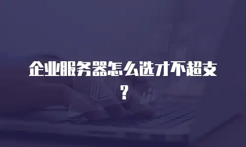 企业服务器怎么选才不超支？