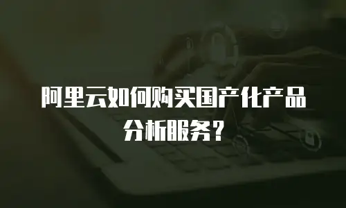 阿里云如何购买国产化产品分析服务？