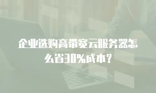 企业选购高带宽云服务器怎么省30%成本？