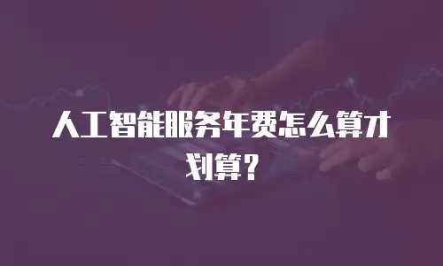 人工智能服务年费怎么算才划算？