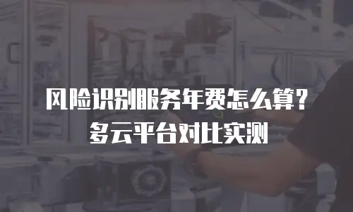 风险识别服务年费怎么算？多云平台对比实测