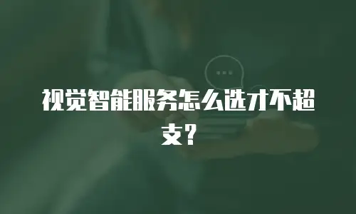 视觉智能服务怎么选才不超支？