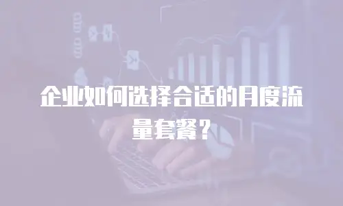 企业如何选择合适的月度流量套餐？