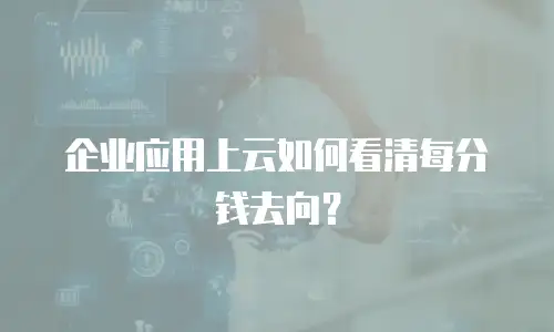 企业应用上云如何看清每分钱去向？