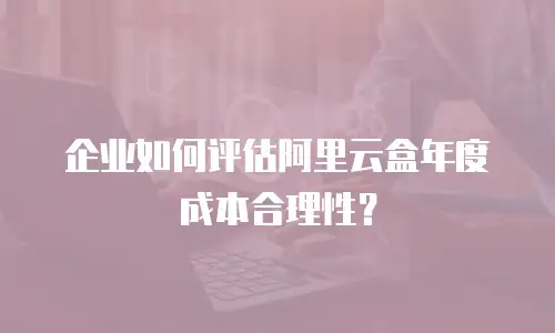 企业如何评估阿里云盒年度成本合理性？