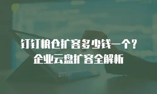 钉钉粮仓扩容多少钱一个？企业云盘扩容全解析