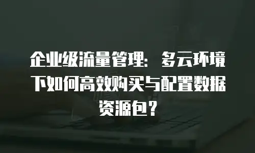 企业级流量管理：多云环境下如何高效购买与配置数据资源包？