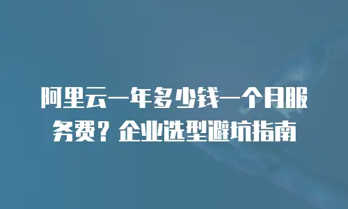 阿里云一年多少钱一个月服务费？企业选型避坑指南