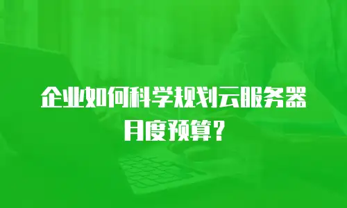 企业如何科学规划云服务器月度预算？