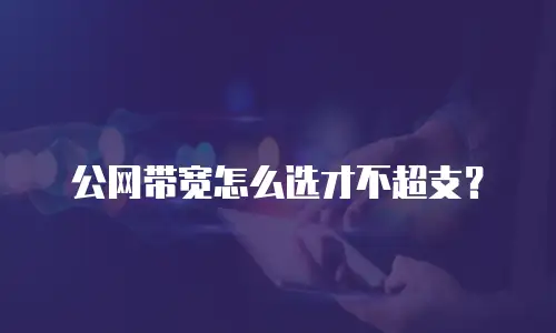 公网带宽怎么选才不超支？