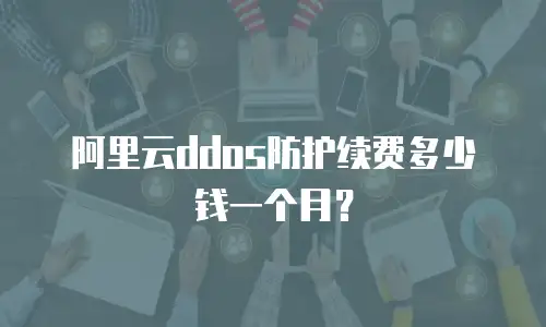 阿里云ddos防护续费多少钱一个月？