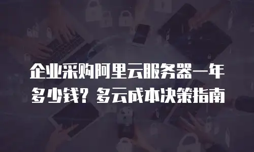 企业采购阿里云服务器一年多少钱？多云成本决策指南