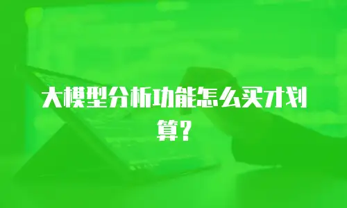 大模型分析功能怎么买才划算？
