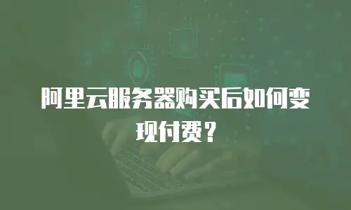 阿里云服务器购买后如何变现付费？