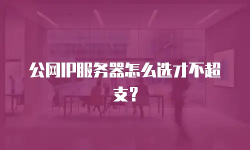 公网IP服务器怎么选才不超支？