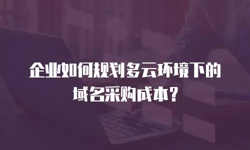 企业如何规划多云环境下的域名采购成本？