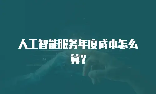 人工智能服务年度成本怎么算？