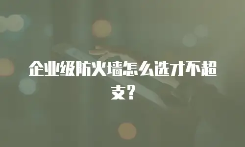 企业级防火墙怎么选才不超支？