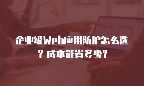 企业级Web应用防护怎么选？成本能省多少？