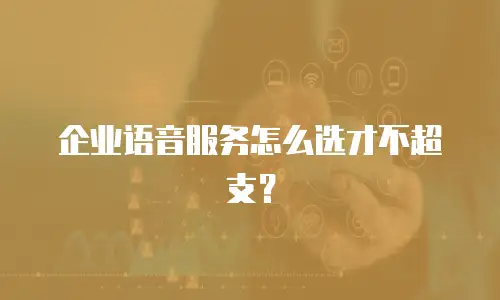 企业语音服务怎么选才不超支？