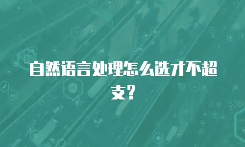 自然语言处理怎么选才不超支？