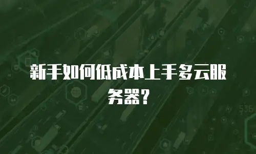 新手如何低成本上手多云服务器？