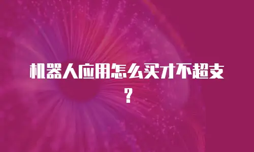 机器人应用怎么买才不超支？