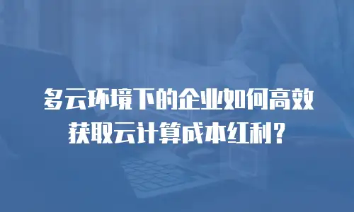 多云环境下的企业如何高效获取云计算成本红利？