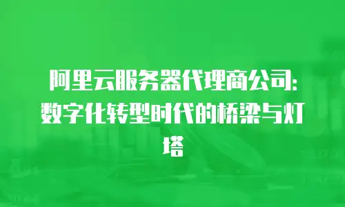 阿里云服务器代理商公司：数字化转型时代的桥梁与灯塔