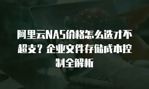 阿里云NAS价格怎么选才不超支？企业文件存储成本控制全解析