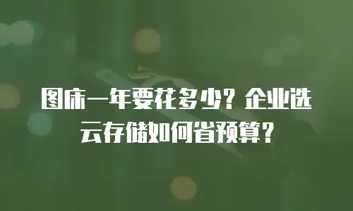 图床一年要花多少？企业选云存储如何省预算？
